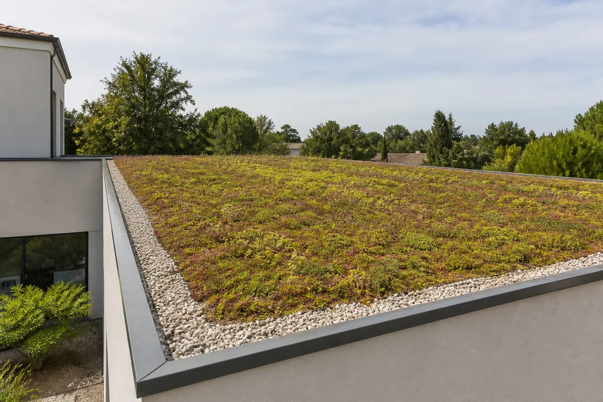 Toiture végétalisée extensive couverte de sedums sur un bâtiment contemporain